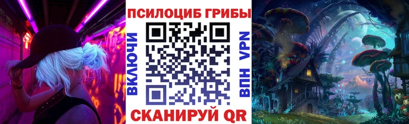 Псилоцибиновые грибы Cubensis  Мещовск 